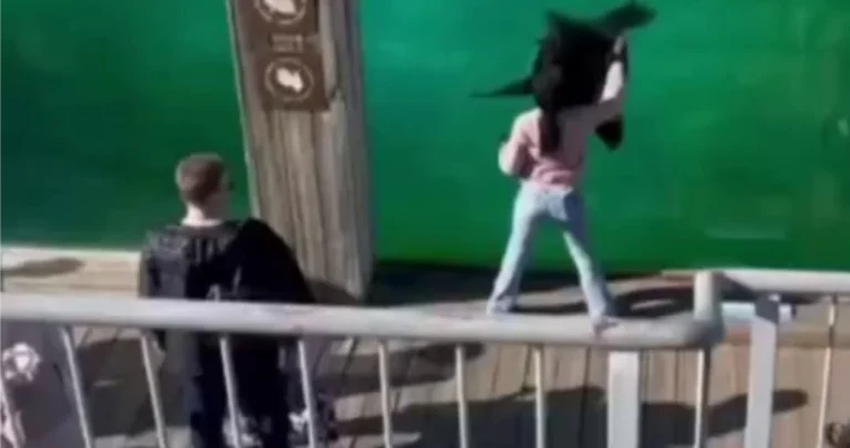 Little Black Girl Taps Her Magic, Guides Seal Into Performing Tricks