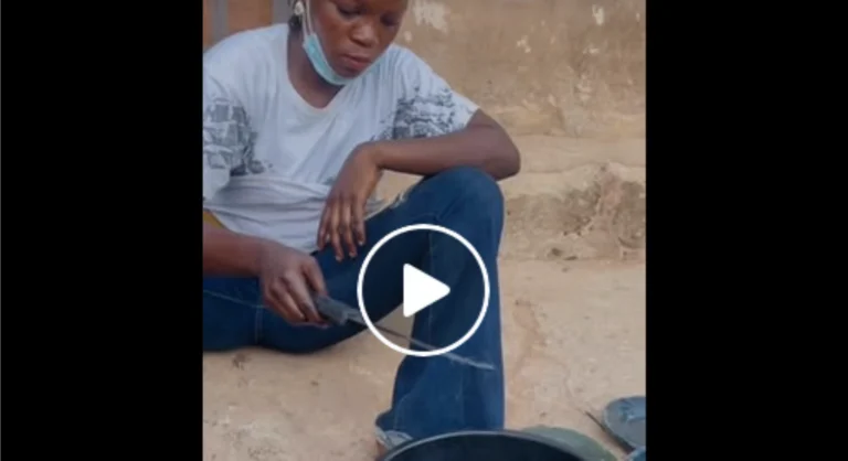 Why Pay for Plastic Plates When You Can Make Them Yourself?