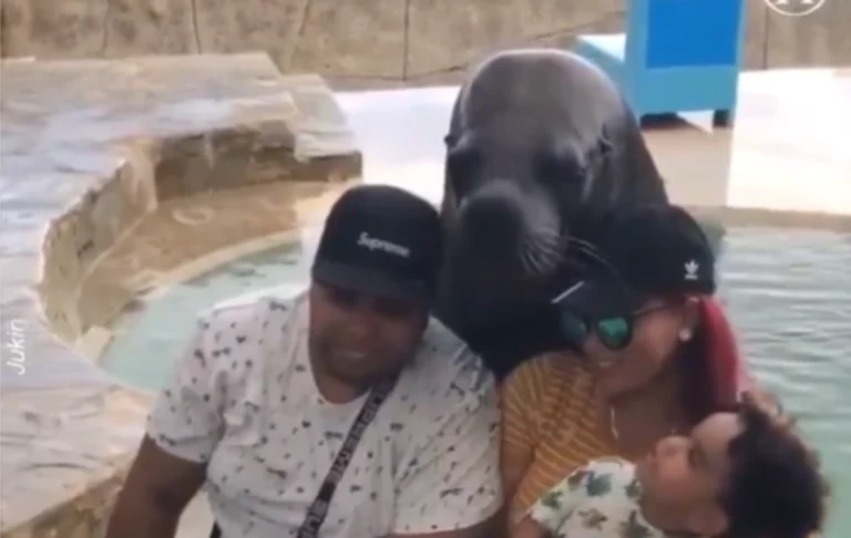 Amazing Family Photo Taken with a Seal